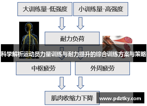 科学解析运动员力量训练与耐力提升的综合训练方案与策略