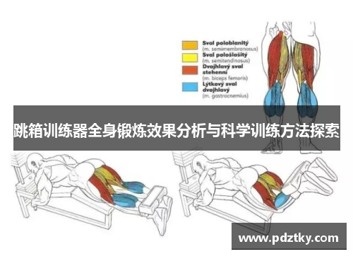 跳箱训练器全身锻炼效果分析与科学训练方法探索