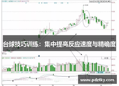 台球技巧训练：集中提高反应速度与精确度
