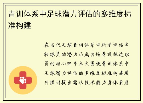 青训体系中足球潜力评估的多维度标准构建